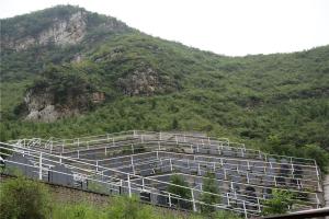 靠山园墓区