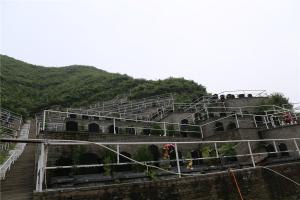 靠山园墓区