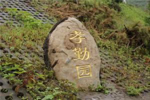 孝勤园墓区