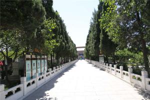 陵园景观