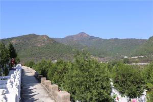 陵园景观