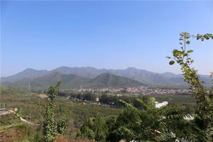 陵园景观