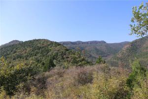 陵园景观