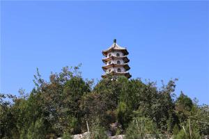 陵园景观