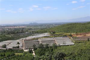 园区景观