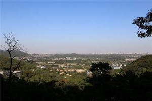 陵园景观