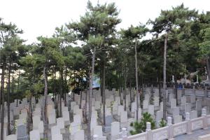 陵园景观