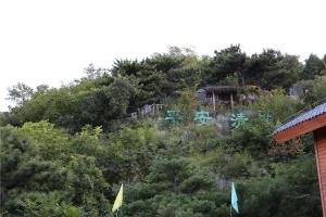 陵园景观