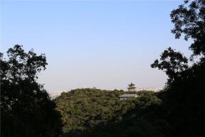 陵园景观