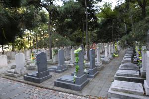 陵园景观