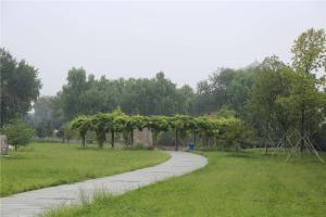 陵园景观