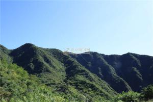 陵园景观