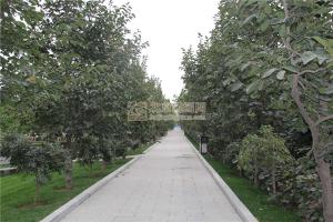 陵园景观
