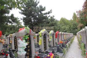 陵园景观