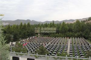 陵园景观