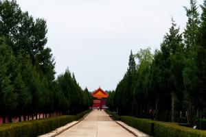 中华永久陵园树葬主路