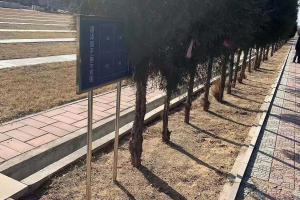 中华永久陵园树葬区