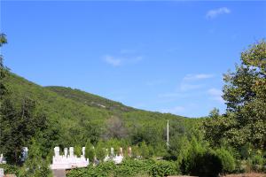 陵园景色
