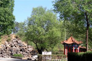 公墓景观
