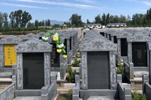 天福园公墓碑型展示