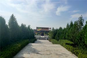 园区绿化景观