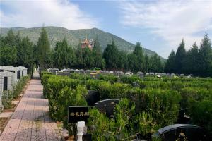 墓区景观绿化