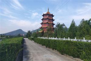 园区绿化景观