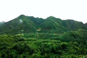生气氤氲的环境