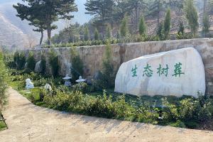 生态树葬区