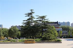 馆区绿化