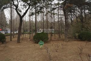 革命公墓环境